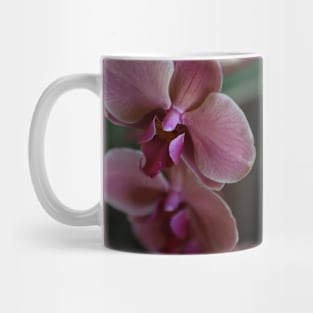 Shades of pink Mug